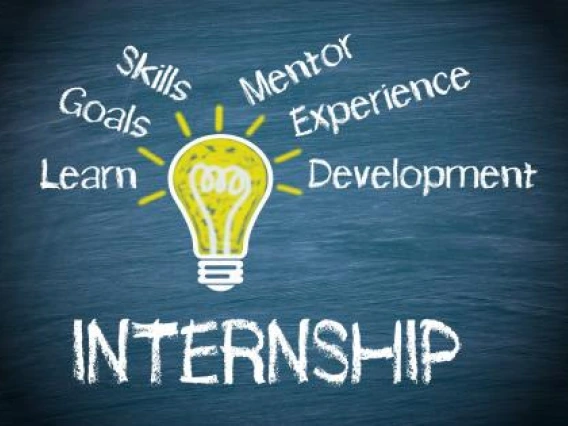 Intern