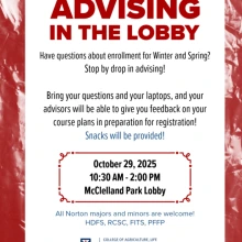 Advising in the lobby